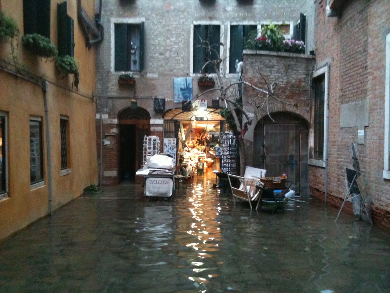 Acqua alta" di venezia, la libreria galleggiante vivicreativo: Librerie belle ed originali