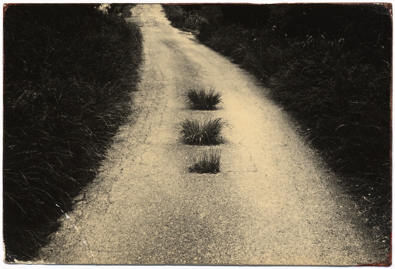 Masao Yamamoto