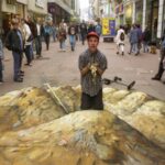 julian beever