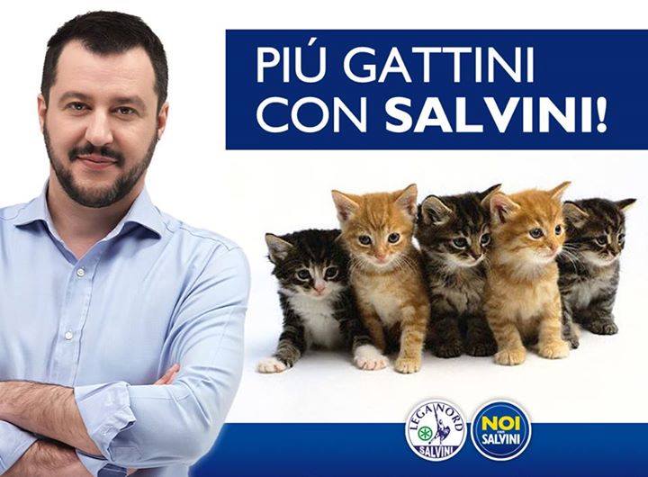 #gattinisusalvini