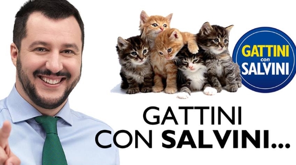 #gattinisusalvini