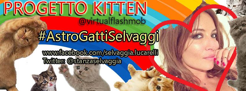 Progetto Kitten Lucarelli