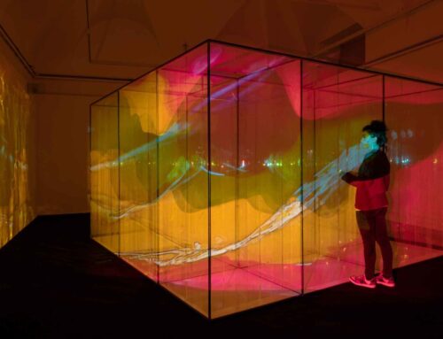 IL VIDEO RENDE FELICI. La videoarte in mostra a Roma
