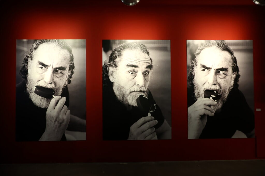 mostra vittorio gassman