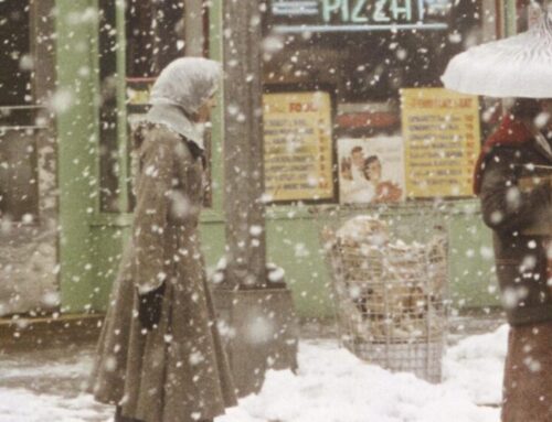 COLLECTION: 150 fotografie della collezione Bachelot