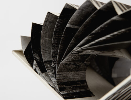 EVERYTHING EXPANDING ENDLESSLY – Libro Anomalo n. 4 By 2501 & She.Lab