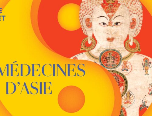 Medicine d’Asia. L’arte dell’equilibrio in mostra a Parigi