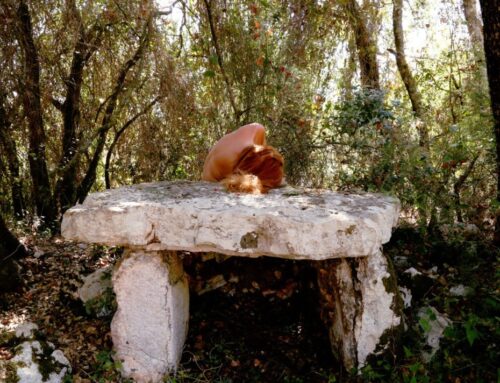 L’artista Nora Lux con il Progetto Climate Change “Anthropos e Kainos”