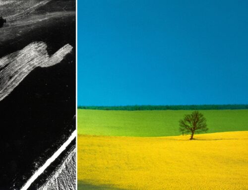 Mario Giacomelli e Franco Fontana conversano alla galleria Polka