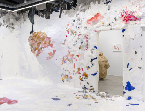 Tatiana Wolska rende omaggio alla belladonna, pianta delle streghe, al Drawing Lab