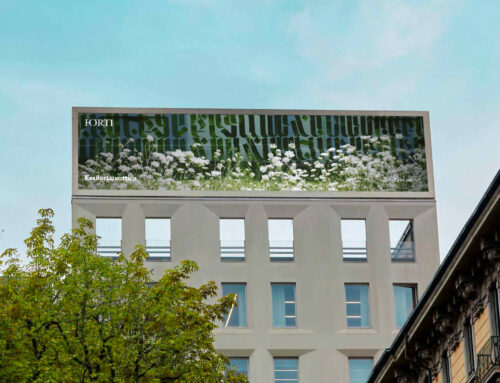 Horti del Collegio Borromeo vince il premio EYES ON ART 2024 di EssilorLuxottica