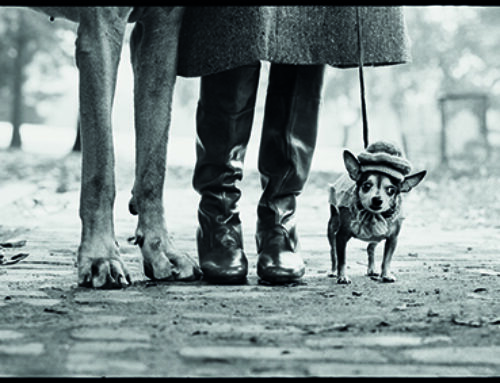 Elliott Erwitt. Icons: la meraviglia dell’ironia a Palazzo Bonaparte