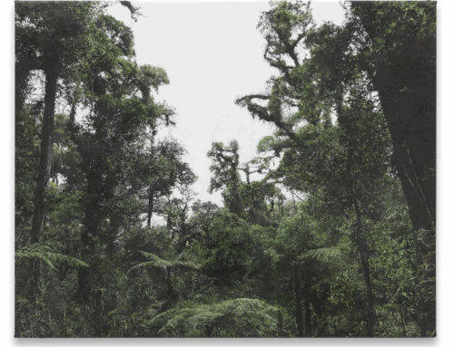 Siamo Natura. Haley Mellin al Museo Novecento: arte, attivismo e paesaggi che respirano