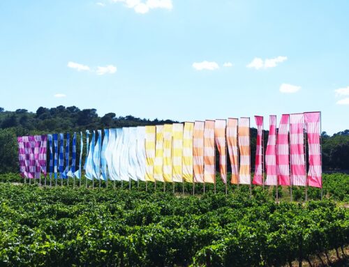 La Collezione Philippe Austruy: l’arte che respira tra vigne, luce e memoria