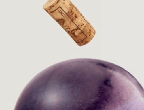 Firenze alza il calice al cambiamento: debutta ÈNO Florence Wine Excellence