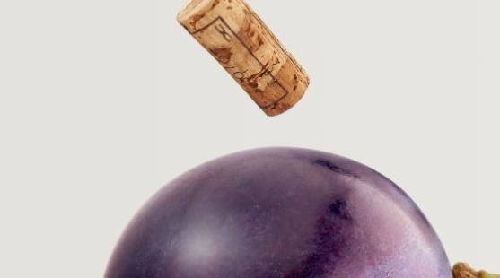 èno Florence Wine Excellence