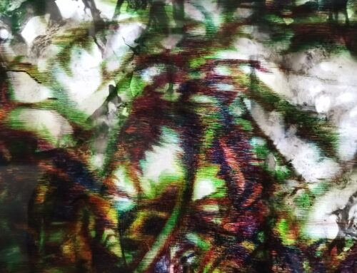 Niente di nuovo sotto il sole. Carole Benzaken al Museo di Tessé: la pittura come esperienza del tempo