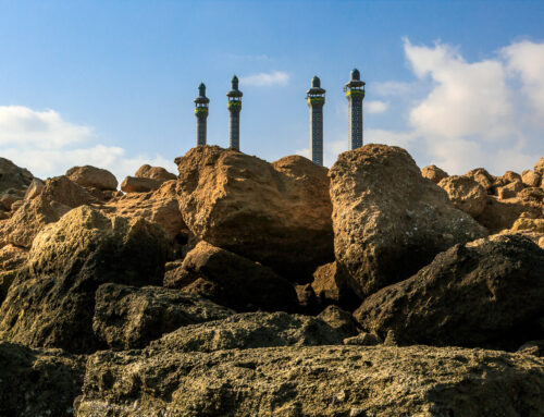 SIENA AWARDS PHOTO FESTIVAL 2025