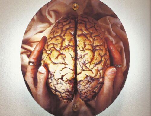 La rivoluzione sensoriale di un’artista senza tempo. Helen Chadwick: Life Pleasures