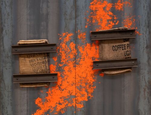 Qui e Ora: dialogo tra due collezioni d’arte contemporanea a Padova