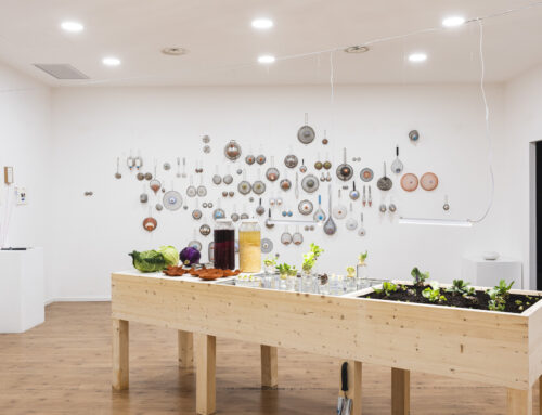 Anatomie spontanee: quando cibo e arte si incontrano