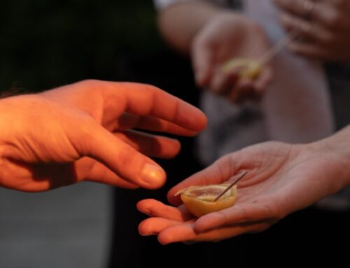 Compost- alle OGR Torino: un incontro tra arte e gastronomia