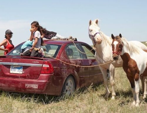 Défaire Refaire Rêver – MYOP: vent’anni di storie in movimento