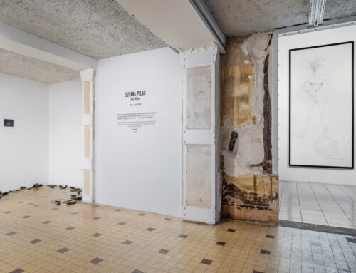 Susana Pilar: l’arte come atto di resistenza e memoria, tra corpo, identità e storia