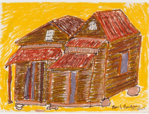 Beverly Buchanan. Impermanences: l’architettura della memoria al 49 Nord 6 Est – Frac Lorraine