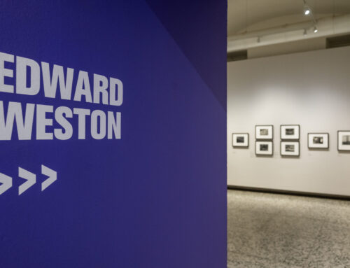 Edward Weston a Torino: la materia delle forme