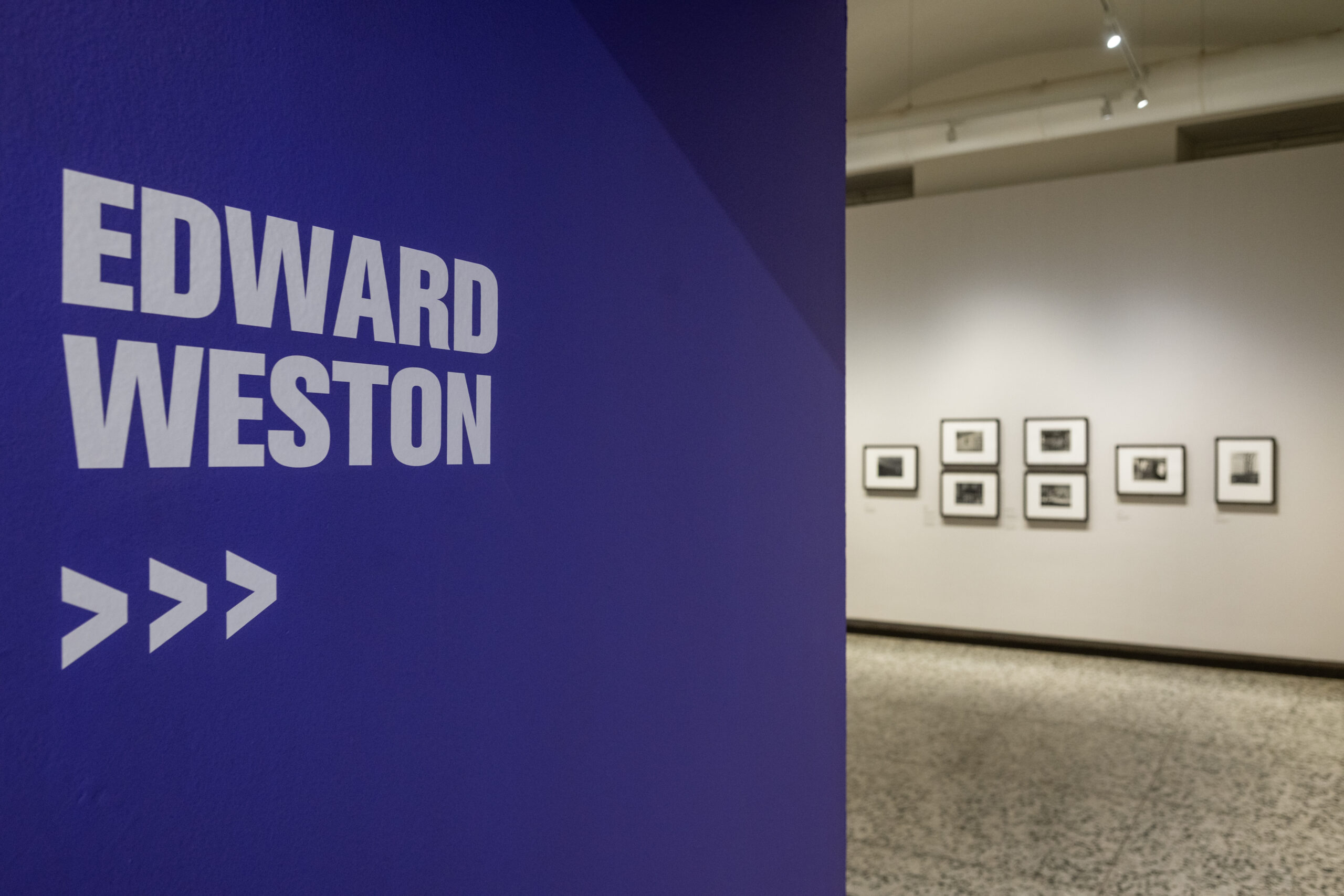 Camera_EdwardWeston 032