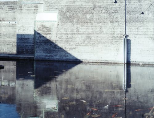 Col tempo: a Parigi la grande lezione di sguardo di Guido Guidi