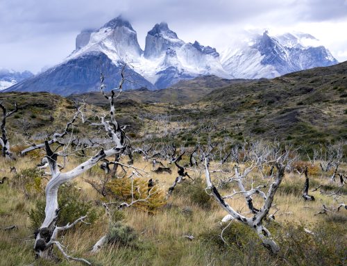 Discendere o salire: il paesaggio cileno come esperienza interiore