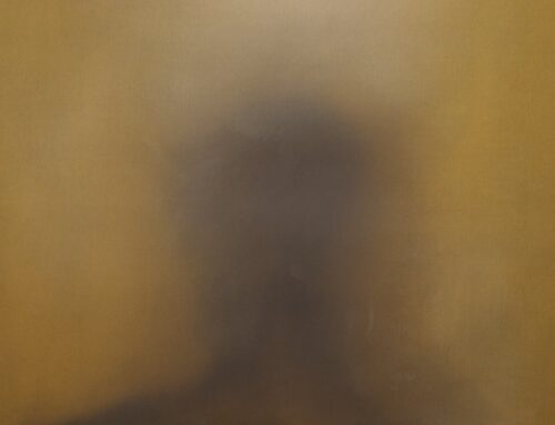 Nel silenzio dello sguardo: Guardatori di Manuela Sedmach alla Galleria Continua