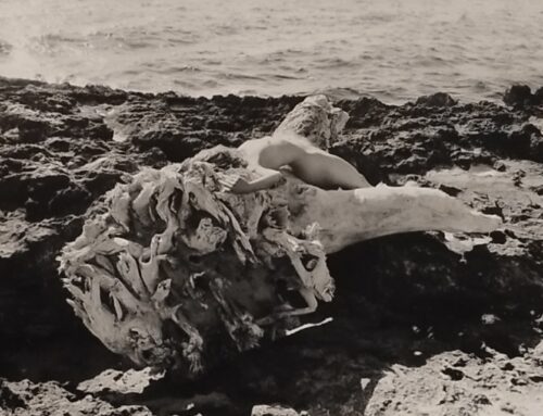 Nel brillare dell’oscurità: gli scatti in bianco e nero di Veronica Mecchia tra Sicilia e Finlandia — Intervista con la fotografa