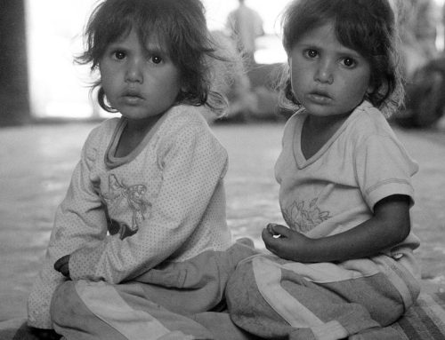 Il capitale che cresce. Dalla Palestina alla Sardegna, Monica Biancardi al MAN di Nuoro