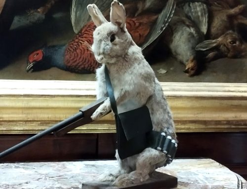 Annette Messager. Una favola senza morale al Musée de la Chasse et de la Nature