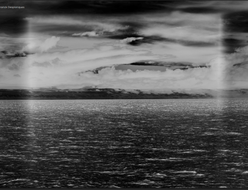 Austral: l’impegno per l’Oceano: un viaggio visivo nell’oceano invisibile