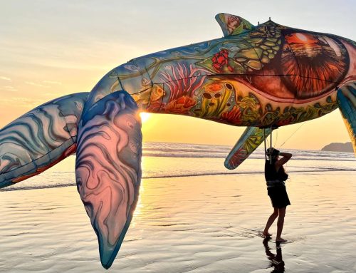 ARTEVENTO 2026: il cielo come museo, il vento come linguaggio