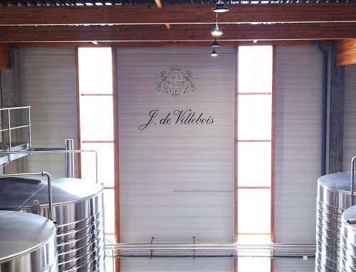 Il Sauvignon secondo J. de Villebois: eccellenza, nuove sfide e un accento italiano