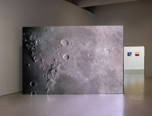 Macro 2026: il nuovo ciclo di mostre tra corpo, tecnologia e sguardo femminile