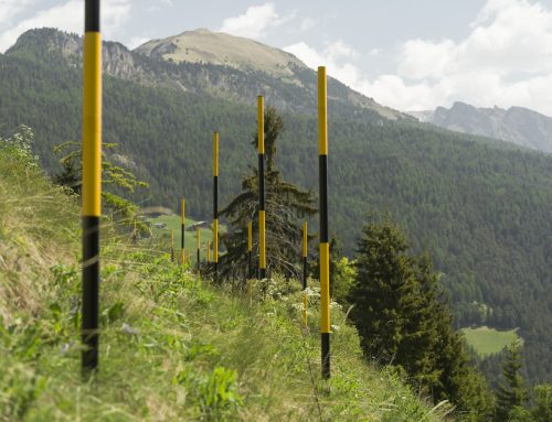 Biennale Gherdëina 10: Future Paradise Gardens, arte contemporanea nelle Dolomiti