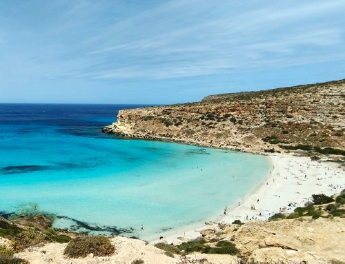 Lampedusa, l’isola tra Europa e Africa: un viaggio tra mare, cultura e biodiversità