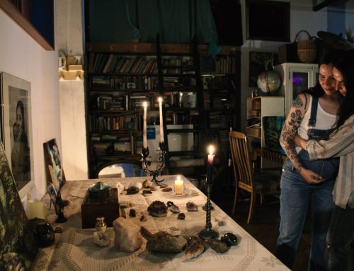 Festival di Film di Villa Medici 2026: il cinema che reinventa le immagini