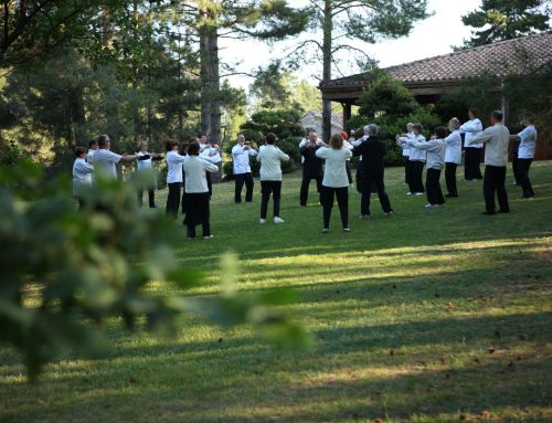 Domaine du Taillé: per ritrovare benessere, creatività e armonia con la natura dell’Ardèche