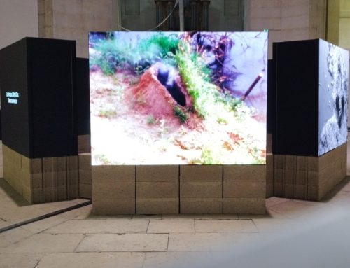 OFFSCREEN 2026, quando l’immagine diventa un’esperienza